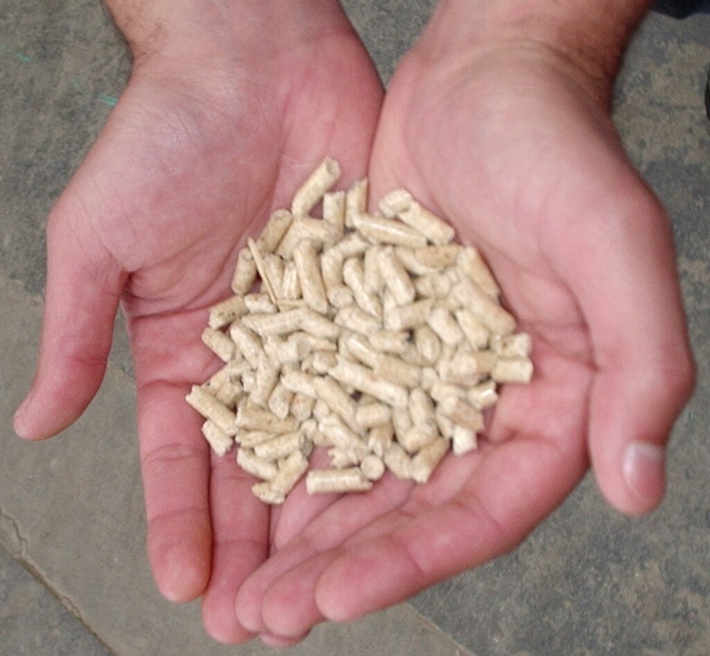 Pellet (combustibile)